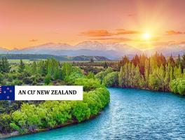 CHƯƠNG TRÌNH AIP NEW ZEALAND GHI NHẬN CỘT MỐC KỶ LỤC: 236 HỒ SƠ – 1.430 TỶ NZD CHỈ SAU 3 THÁNG