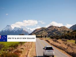 CÁC HÌNH PHẠT CHO HÀNH VI VI PHẠM GIAO THÔNG TẠI NEW ZEALAND