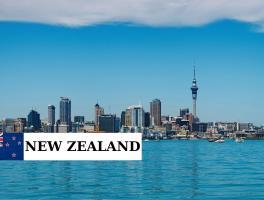 HỆ THỐNG Y TẾ NEW ZEALAND 2026:  CÁCH VẬN HÀNH VÀ QUYỀN LỢI CƯ DÂN