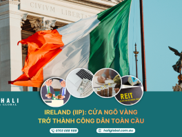 IRELAND IIP – CẤU TRÚC ĐẦU TƯ ĐỊNH CƯ CHIẾN LƯỢC TỪNG MỞ RA CÁNH CỬA VÀO EU VÀ ANH QUỐC