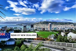 ĐỊNH CƯ NEW ZEALAND 2025: XU HƯỚNG, CƠ HỘI VÀ CHIẾN LƯỢC CHO GIỚI ĐẦU TƯ TOÀN CẦU