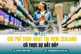 CHI PHÍ SINH HOẠT TẠI NEW ZEALAND 2026: CẦN CHUẨN BỊ BAO NHIÊU?