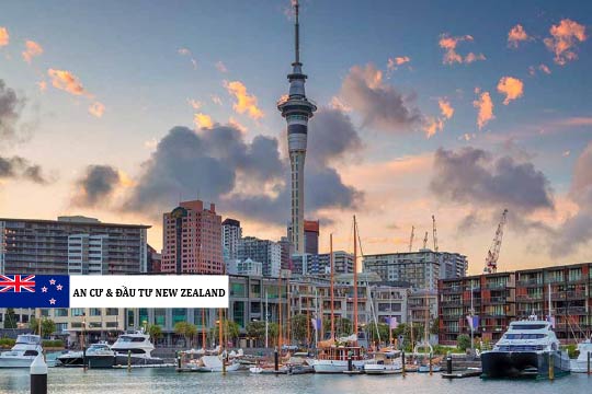 CHÍNH PHỦ MỸ ĐÓNG CỬA: DU KHÁCH NEW ZEALAND CẦN LƯU Ý GÌ KHI NHẬP CẢNH?