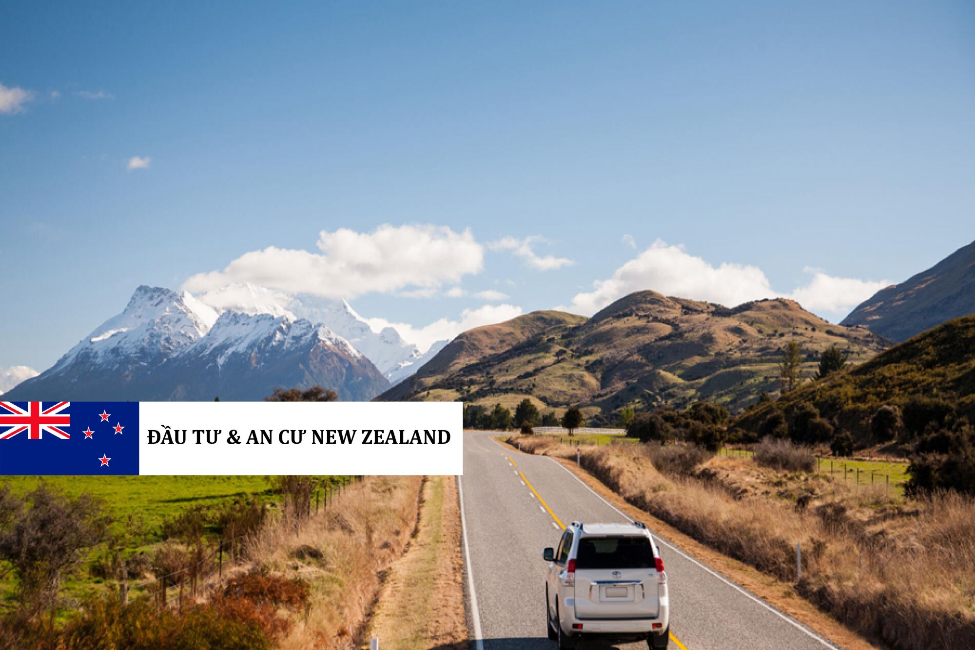 CÁC HÌNH PHẠT CHO HÀNH VI VI PHẠM GIAO THÔNG TẠI NEW ZEALAND