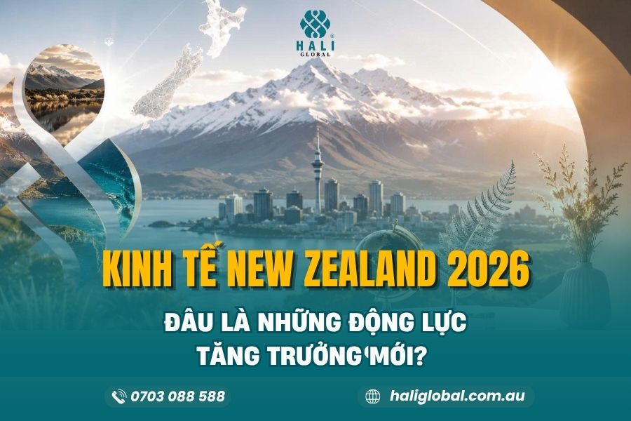 Kinh Tế New Zealand 2026: Những Động Lực Tăng Trưởng Đang Thu Hút Nhà Đầu Tư Quốc Tế
